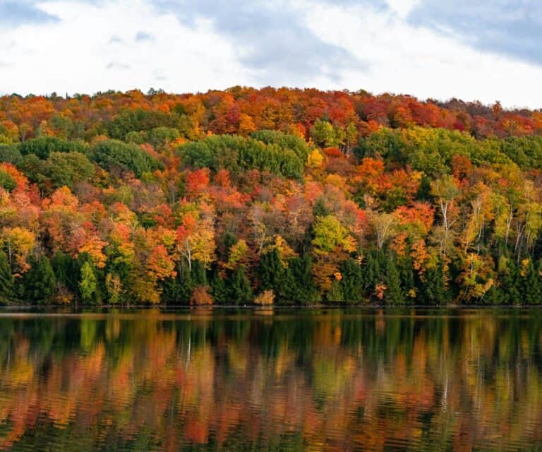 New England luxury yacht charter: Fall foliage and fresh lobster delights