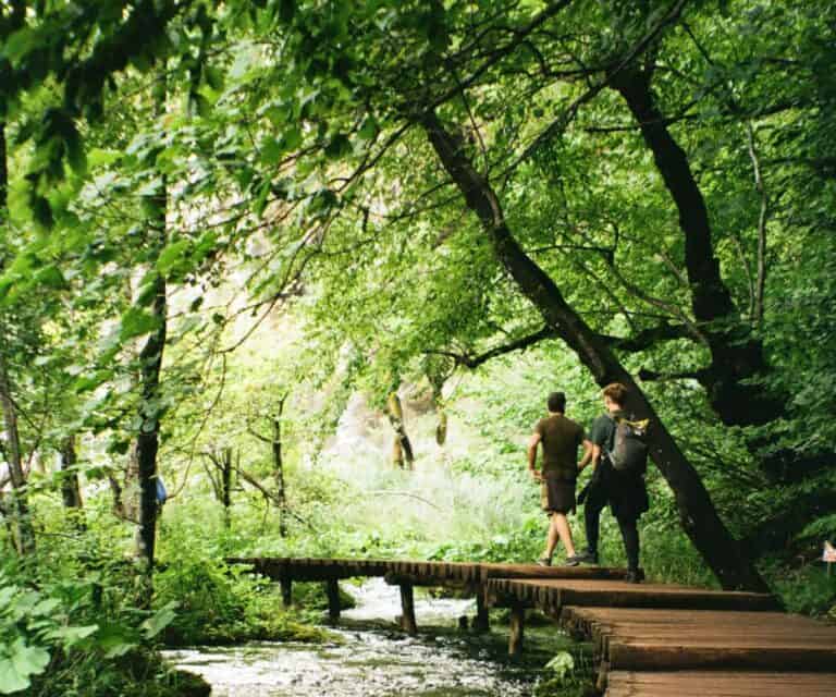 Trails of the Plitvice Lakes National Park