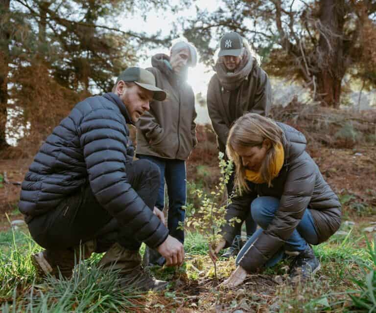 Sustainable tourism in New Zealand through an indigenous lens