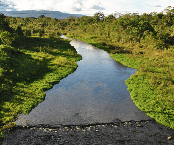 The Ecuadorian Amazon: A paradise in South America, and activities you must do there